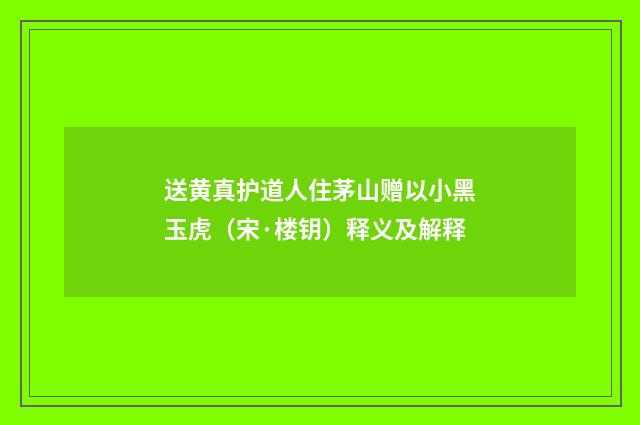 送黄真护道人住茅山赠以小黑玉虎（宋·楼钥）释义及解释