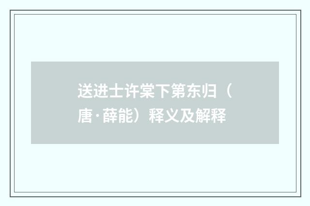 送进士许棠下第东归（唐·薛能）释义及解释
