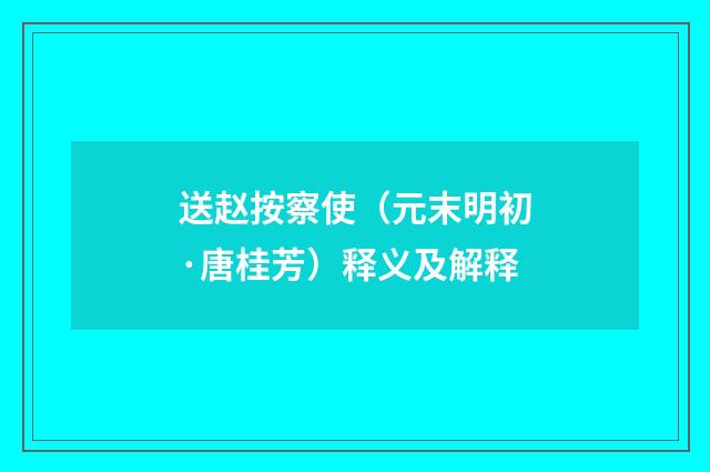 送赵按察使（元末明初·唐桂芳）释义及解释