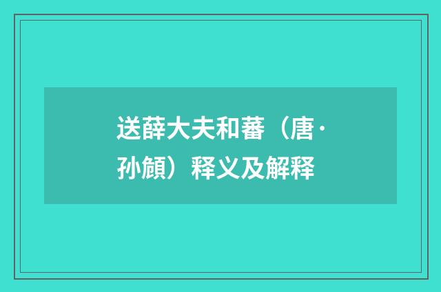 送薛大夫和蕃（唐·孙頠）释义及解释
