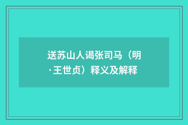 送苏山人谒张司马（明·王世贞）释义及解释