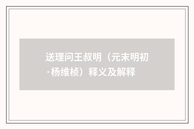 送理问王叔明（元末明初·杨维桢）释义及解释