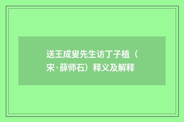 送王成叟先生访丁子植（宋·薛师石）释义及解释