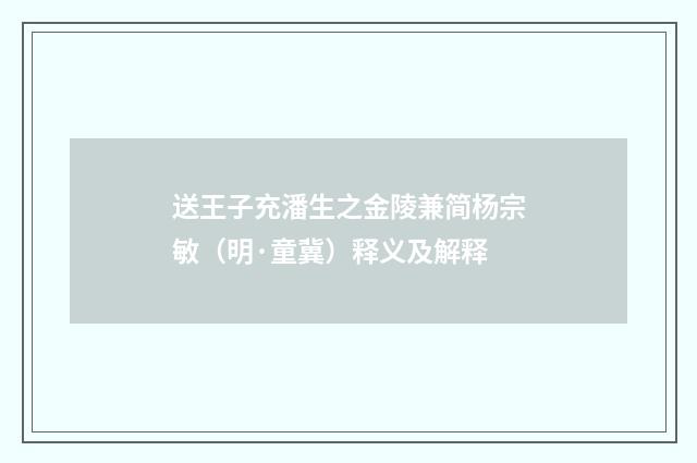 送王子充潘生之金陵兼简杨宗敏（明·童冀）释义及解释