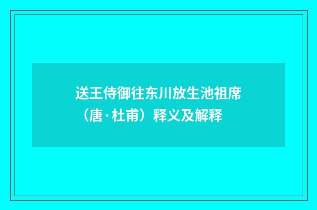 送王侍御往东川放生池祖席（唐·杜甫）释义及解释