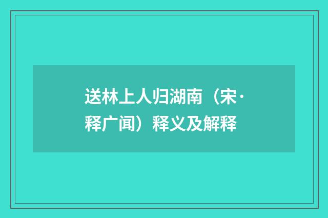 送林上人归湖南（宋·释广闻）释义及解释