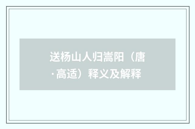 送杨山人归嵩阳（唐·高适）释义及解释