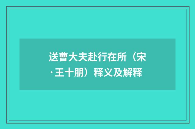 送曹大夫赴行在所（宋·王十朋）释义及解释