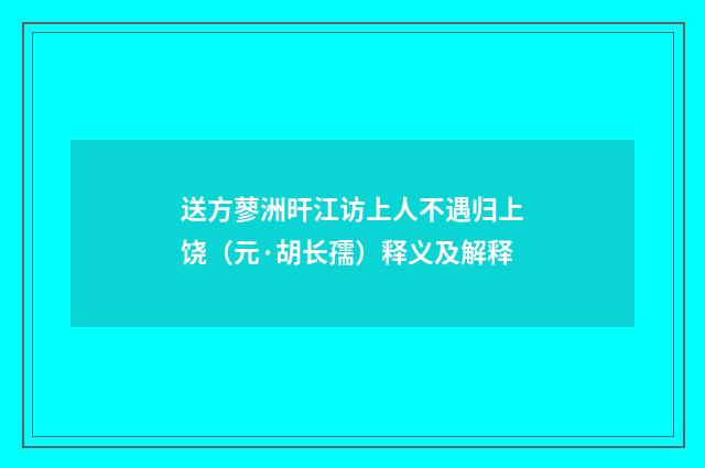 送方蓼洲旰江访上人不遇归上饶（元·胡长孺）释义及解释