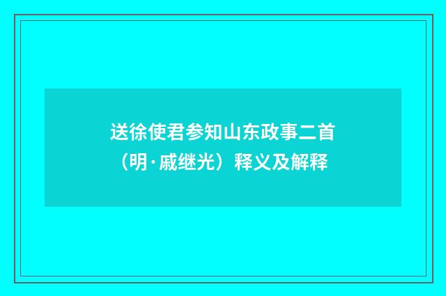 送徐使君参知山东政事二首（明·戚继光）释义及解释