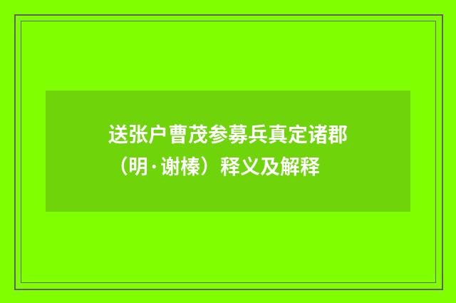 送张户曹茂参募兵真定诸郡（明·谢榛）释义及解释