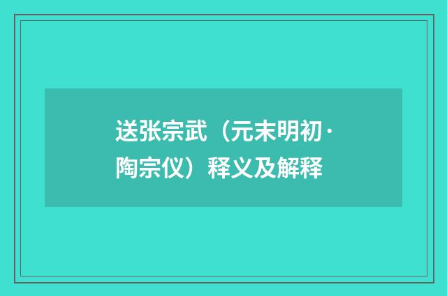 送张宗武（元末明初·陶宗仪）释义及解释