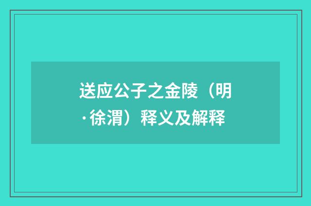送应公子之金陵（明·徐渭）释义及解释