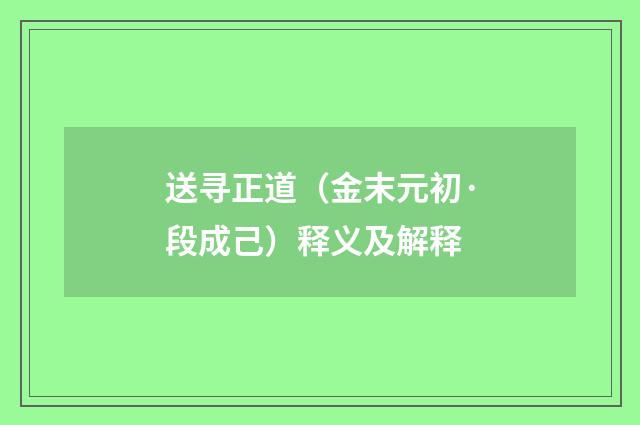 送寻正道（金末元初·段成己）释义及解释