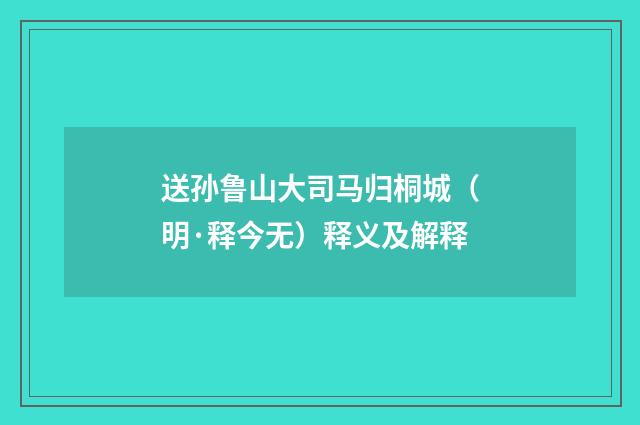 送孙鲁山大司马归桐城（明·释今无）释义及解释