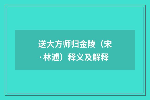 送大方师归金陵（宋·林逋）释义及解释