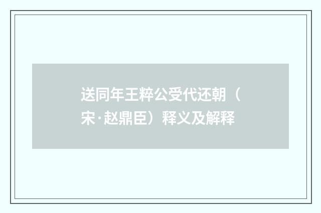 送同年王粹公受代还朝（宋·赵鼎臣）释义及解释
