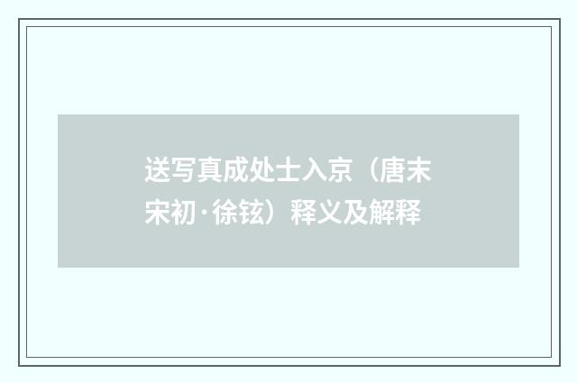 送写真成处士入京（唐末宋初·徐铉）释义及解释