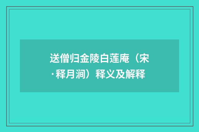 送僧归金陵白莲庵（宋·释月涧）释义及解释