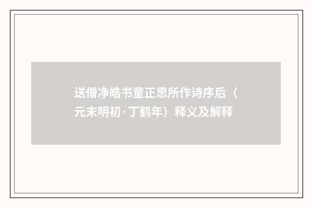 送僧净皓书童正思所作诗序后（元末明初·丁鹤年）释义及解释