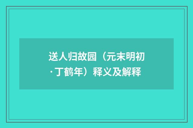 送人归故园（元末明初·丁鹤年）释义及解释