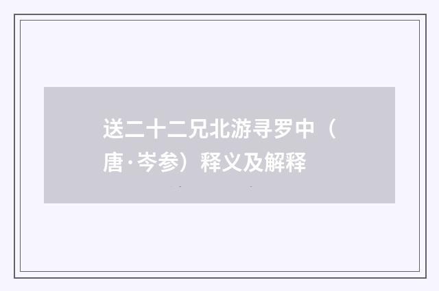 送二十二兄北游寻罗中（唐·岑参）释义及解释