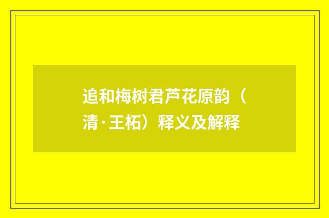 追和梅树君芦花原韵（清·王柘）释义及解释