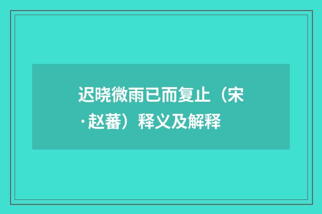 迟晓微雨已而复止（宋·赵蕃）释义及解释