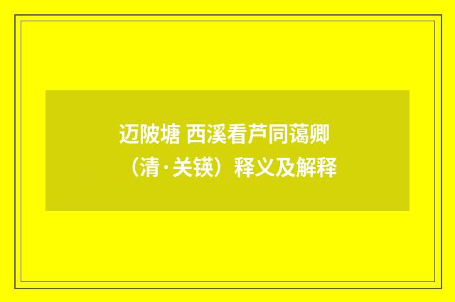迈陂塘 西溪看芦同蔼卿（清·关锳）释义及解释
