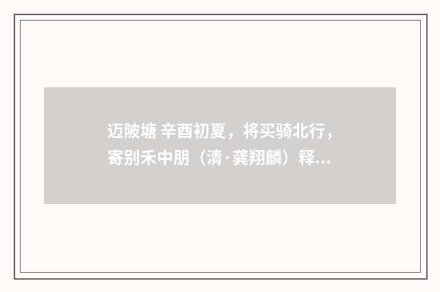迈陂塘 辛酉初夏，将买骑北行，寄别禾中朋（清·龚翔麟）释义及解释