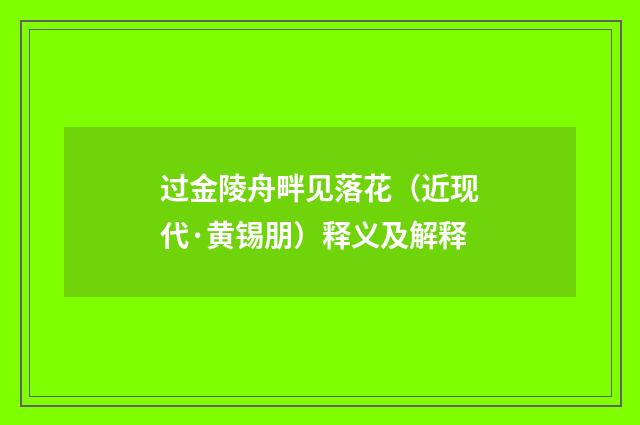 过金陵舟畔见落花（近现代·黄锡朋）释义及解释