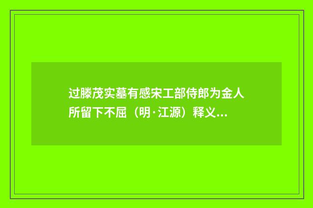 过滕茂实墓有感宋工部侍郎为金人所留下不屈（明·江源）释义及解释