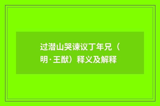 过潜山哭谏议丁年兄（明·王猷）释义及解释