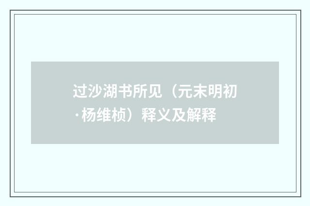 过沙湖书所见（元末明初·杨维桢）释义及解释