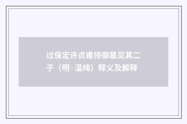 过保定许贞甫侍御墓见其二子（明·温纯）释义及解释