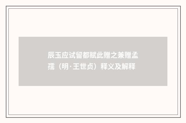 辰玉应试留都赋此赠之兼赠孟孺（明·王世贞）释义及解释