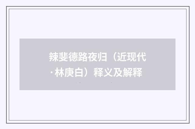辣斐德路夜归（近现代·林庚白）释义及解释