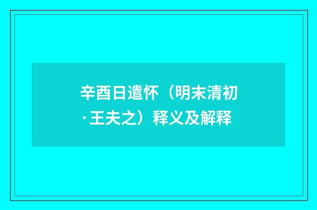 辛酉日遣怀（明末清初·王夫之）释义及解释