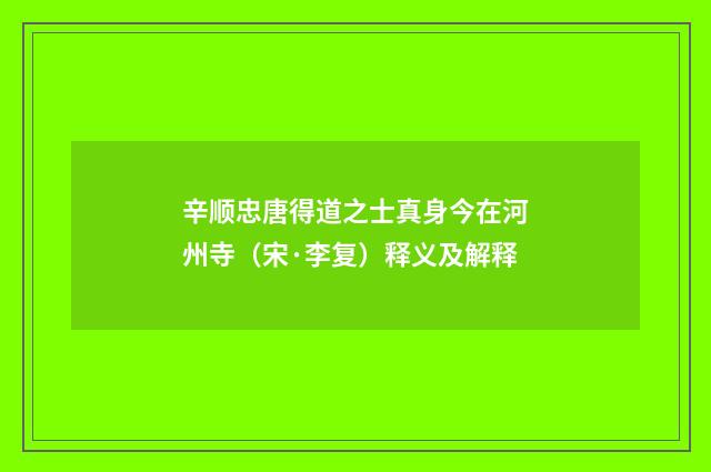 辛顺忠唐得道之士真身今在河州寺（宋·李复）释义及解释