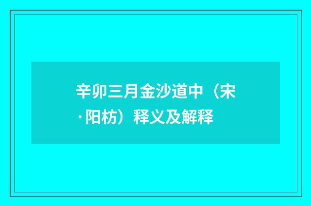 辛卯三月金沙道中（宋·阳枋）释义及解释