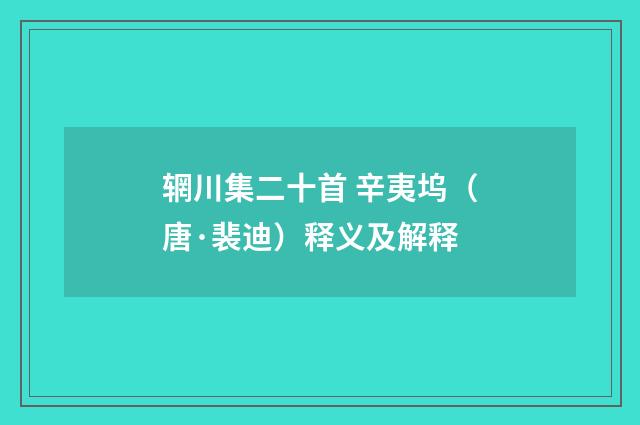 辋川集二十首 辛夷坞（唐·裴迪）释义及解释