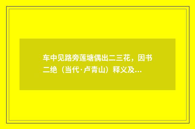 车中见路旁莲塘偶出二三花，因书二绝（当代·卢青山）释义及解释
