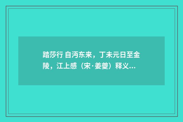 踏莎行 自沔东来，丁未元日至金陵，江上感（宋·姜夔）释义及解释