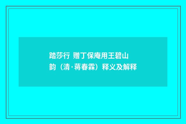 踏莎行 赠丁保庵用王碧山韵（清·蒋春霖）释义及解释