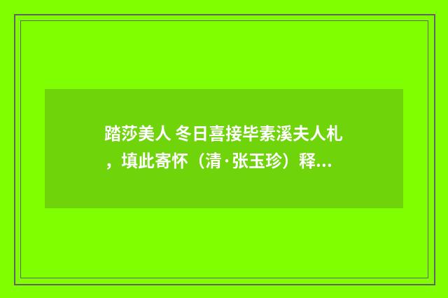 踏莎美人 冬日喜接毕素溪夫人札，填此寄怀（清·张玉珍）释义及解释