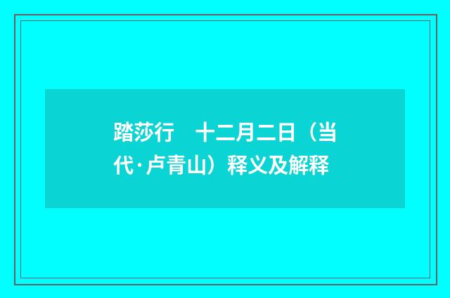 踏莎行　十二月二日（当代·卢青山）释义及解释