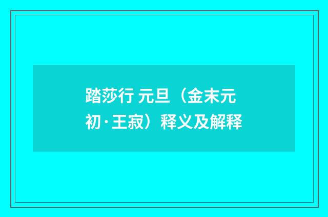 踏莎行 元旦（金末元初·王寂）释义及解释