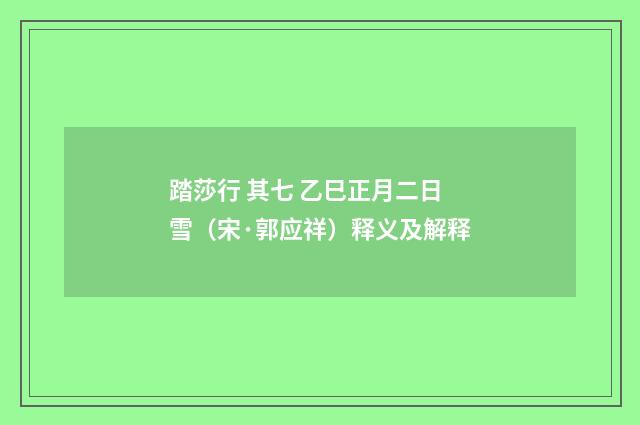 踏莎行 其七 乙巳正月二日雪（宋·郭应祥）释义及解释