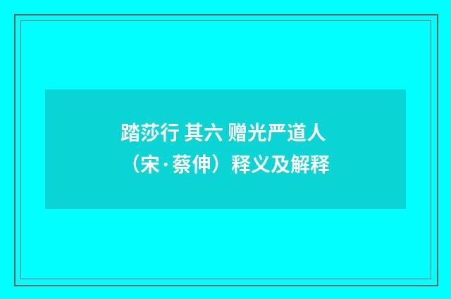 踏莎行 其六 赠光严道人（宋·蔡伸）释义及解释