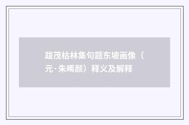 跋茂枯林集句题东坡画像（元·朱晞颜）释义及解释